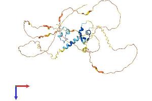 Zinc Finger Protein 704 (ZNF704) (AA 1-412) protein (His tag)