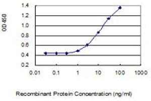 Detection limit for recombinant GST tagged LACTB2 is 0.