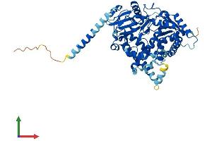 AlphaFold protein structure predicition of Mouse Recombinant Cyp4f14 Protein, UniprotID Q9EP75 (Cyp4f14 Protein (AA 1-524) (His tag))