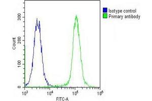 Overlay histogram showing K562 cells stained with (ABIN390856 and ABIN2841078) (green line). (RASIP1 antibody  (AA 651-678))