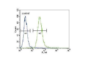 Flow Cytometry (FACS) image for anti-Tumor Necrosis Factor Receptor Superfamily, Member 1A (TNFRSF1A) (AA 252-281) antibody (ABIN5530765)