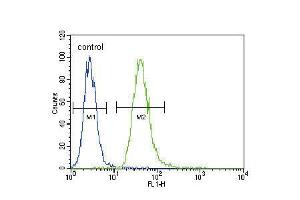 Flow cytometric analysis of A549 cells (right histogram) compared to a negative control cell (left histogram). (TNFRSF1A antibody  (AA 252-281))