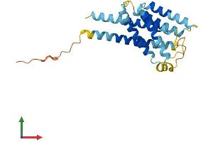 AlphaFold protein structure predicition of Mouse Recombinant Insig2 Protein, UniprotID Q91WG1