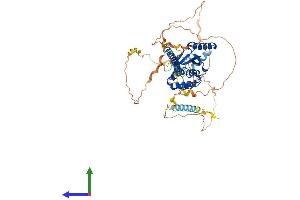AlphaFold protein structure predicition of Mouse Recombinant Otud5 Protein, UniprotID Q3U2S4 (OTUD5 Protein (AA 1-566) (His tag))