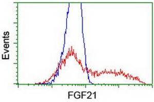HEK293T cells transfected with either RC204538 overexpress plasmid (Red) or empty vector control plasmid (Blue) were immunostained by anti-FGF21 antibody (ABIN2454615), and then analyzed by flow cytometry. (FGF21 antibody  (AA 29-209))