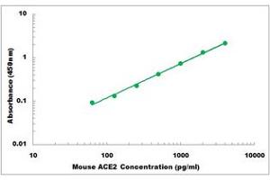 Representative Standard Curve (ACE2 ELISA Kit)