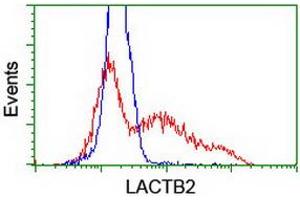 HEK293T cells transfected with either RC201465 overexpress plasmid (Red) or empty vector control plasmid (Blue) were immunostained by anti-LACTB2 antibody (ABIN2454343), and then analyzed by flow cytometry. (LACTB2 antibody)