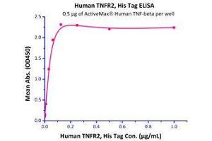 Binding Studies (Bind) image for Tumor Necrosis Factor Receptor Superfamily, Member 1B (TNFRSF1B) (AA 23-257) (Active) protein (His tag) (ABIN2181842)