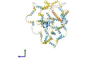 AlphaFold protein structure predicition of Human Recombinant NEBL Protein, UniprotID O76041 (Nebulette Protein (NEBL) (AA 1-1014) (His tag))