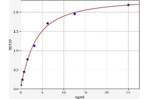 POMC ELISA Kit