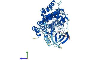 AlphaFold protein structure predicition of Human Recombinant ILK Protein, UniprotID Q13418 (ILK Protein (AA 1-452) (His tag))