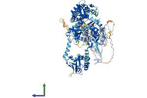 AlphaFold protein structure predicition of Human Recombinant USP48 Protein, UniprotID Q86UV5 (USP48 Protein (AA 1-1035) (His tag))
