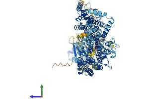 Protein Structure (PS) image for Phosphatidylinositol Glycan Anchor Biosynthesis, Class N (PIGN) (AA 1-931) protein (His tag) (ABIN7565192)