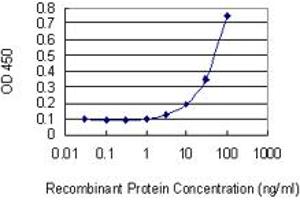Detection limit for recombinant GST tagged SHOX2 is 1 ng/ml as a capture antibody. (SHOX2 antibody  (AA 117-204))