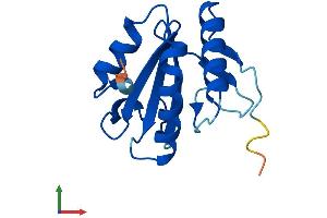 Protein Structure (PS) image for Thioredoxin-Like 4A (TXNL4A) (AA 1-142) protein (His tag) (ABIN7544889)