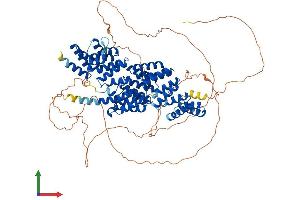AlphaFold protein structure predicition of Human Recombinant CDC27 Protein, UniprotID P30260 (CDC27 Protein (AA 1-824) (His tag))