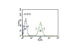 NOS3 Antibody (N-term) (ABIN652267 and ABIN2841142) flow cytometric analysis of HL-60 cells (right histogram) compared to a negative control cell (left histogram).
