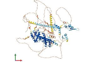 AlphaFold protein structure predicition of Human Recombinant ZFR Protein, UniprotID Q96KR1 (ZFR Protein (AA 1-1074) (His tag))