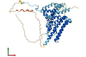 AlphaFold protein structure predicition of Mouse Recombinant Dgat1 Protein, UniprotID Q9Z2A7