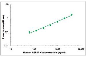 Representative Standard Curve (HSP27 ELISA Kit)