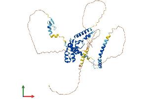 Protein Structure (PS) image for E3 ubiquitin-protein ligase RAD18 (RAD18) (AA 1-495) protein (His tag) (ABIN7551159)