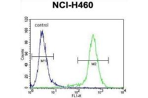 Flow Cytometry (FACS) image for anti-Lipocalin 9 (LCN9) antibody (ABIN2996344) (LCN9 antibody)