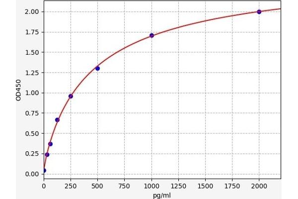 VSNL1 ELISA Kit