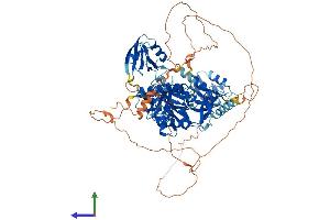AlphaFold protein structure predicition of Mouse Recombinant Dlg3 Protein, UniprotID P70175 (DLG3 Protein (AA 1-849) (His tag))