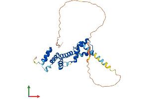 AlphaFold protein structure predicition of Human Recombinant SIX1 Protein, UniprotID Q15475 (SIX Homeobox 1 Protein (SIX1) (AA 1-284) (His tag))