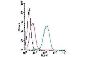 Cell surface detection of Robo1 live intact human THP-1 monocytic leukemia cells: (black line) Cells. (ROBO1 antibody  (Extracellular, N-Term))