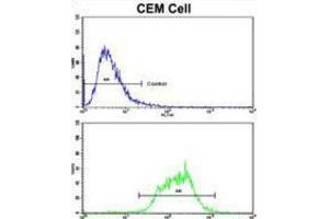 Flow Cytometry (FACS) image for anti-Mitochondrially Encoded NADH Dehydrogenase 5 (MT-ND5) antibody (ABIN3002895) (MT-ND5 antibody)