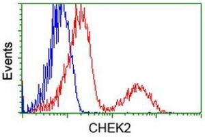 Flow Cytometry (FACS) image for anti-Checkpoint Kinase 2 (CHEK2) antibody (ABIN1497499) (CHEK2 antibody)