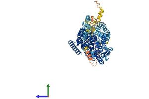 AlphaFold protein structure predicition of Mouse Recombinant Slc5a9 Protein, UniprotID Q8VDT1