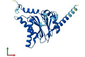 AlphaFold protein structure predicition of Human Recombinant PSMA7 Protein, UniprotID O14818
