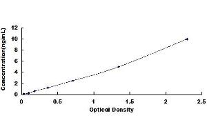 Typical standard curve (KEAP1 ELISA Kit)