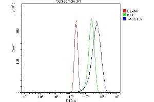 Flow Cytometry analysis of RT4 cells using anti-TROP2/TACSTD2 antibody (ABIN7603102).