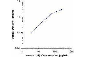 ELISA image for anti-Interleukin 1, beta (IL1B) antibody (Biotin) (ABIN2661220) (IL-1 beta antibody  (Biotin))