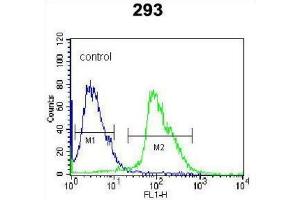 Flow Cytometry (FACS) image for anti-Kallikrein 7 (KLK7) antibody (ABIN3002618) (Kallikrein 7 antibody)