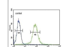 SMS Antibody (ABIN652064 and ABIN2840532) flow cytometric analysis of Hela cells (right histogram) compared to a negative control cell (left histogram). (SMS antibody)