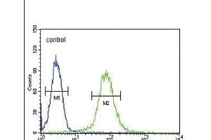 SMS Antibody (ABIN652064 and ABIN2840532) flow cytometric analysis of Hela cells (right histogram) compared to a negative control cell (left histogram).