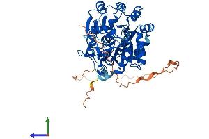 AlphaFold protein structure predicition of Human Recombinant DDX6 Protein, UniprotID P26196 (DDX6 Protein (AA 1-483) (His tag))