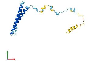 AlphaFold protein structure predicition of Human Recombinant MMGT1 Protein, UniprotID Q8N4V1 (MMGT1 Protein (AA 1-131) (His tag))