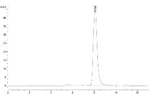 Size-exclusion chromatography-High Pressure Liquid Chromatography (SEC-HPLC) image for UL16 Binding Protein 1 (ULBP1) (AA 26-215) protein (His-Avi Tag,Biotin) (ABIN7275818)