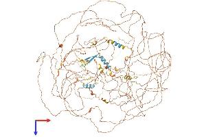 AlphaFold protein structure predicition of Human Recombinant AHDC1 Protein, UniprotID Q5TGY3 (AHDC1 Protein (AA 1-1603) (His tag))