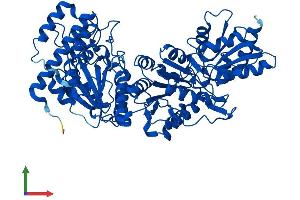 Protein Structure (PS) image for Transketolase (TKT) (AA 1-623) protein (His tag) (ABIN7544474)