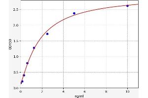 Typical standard curve (MMP15 ELISA Kit)