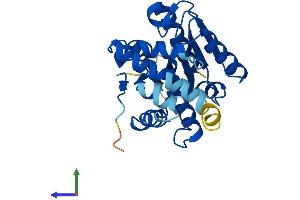 AlphaFold protein structure predicition of Mouse Recombinant Tmem53 Protein, UniprotID Q9D0Z3
