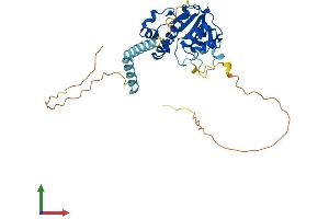 Protein Structure (PS) image for RNA (Guanine-9-) Methyltransferase Domain Containing 2 (RG9MTD2) (AA 1-328) protein (His tag) (ABIN7559110)