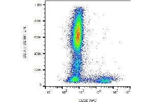 Surface staining of human peripheral blood cells with anti-human CD26 (BA5b) APC. (DPP4 antibody)