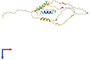AlphaFold protein structure predicition of Human Recombinant FAM120AOS Protein, UniprotID Q5T036 (FAM120AOS Protein (AA 1-256) (His tag))